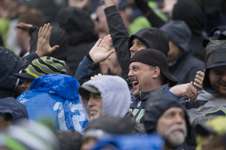 Fans cheer on the Seahawks on Sunday, Nov. 9, 2014 at CenturyLink Field.